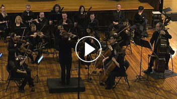 Palisades Sinfonietta performs Beethoven